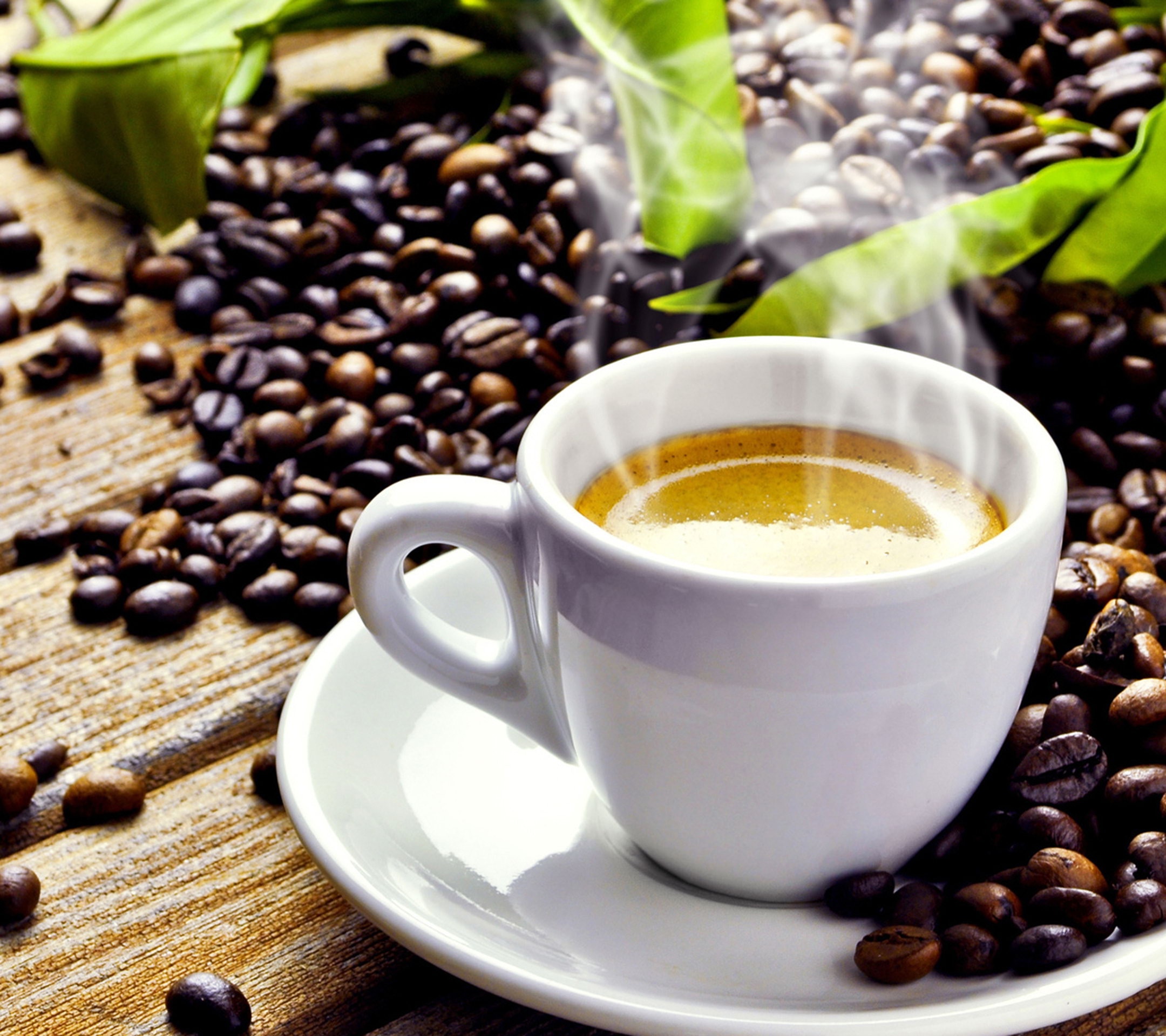 ką vertėtų žinoti renkantis kavą
