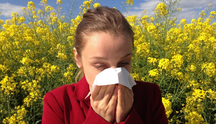 alergijų sezonas